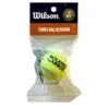 Porte Clé Wilson Roland Garros Mini Balle De Tennis -EXTREME TENNIS Soldes porte cle wilson roland garros mini balle de tennis